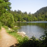 Feldsee, Feldberg